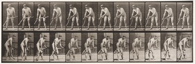 Levy 391. Maanviljelijä, niitto ruohoa tekijältä Eadweard Muybridge