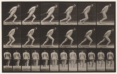 Levy 392. Puutarharullan vetäminen, 1872-1885 tekijältä Eadweard Muybridge