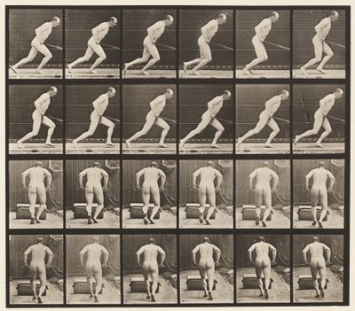 Levy 393. Puutarharullan työntäminen, 1872-1885 tekijältä Eadweard Muybridge