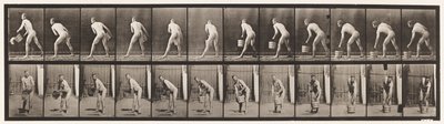 Levy 398. Vesiämpäri nostetaan tyhjäksi, 1872-1885 tekijältä Eadweard Muybridge