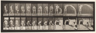 Levy 399. Vesiämpäri tyhjennys, 1872-1885 tekijältä Eadweard Muybridge