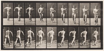 Lauta 3. Kävely tekijältä Eadweard Muybridge