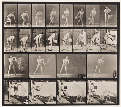 Levy 400. Vesiämpäri tyhjennys, 1872-1885 tekijältä Eadweard Muybridge