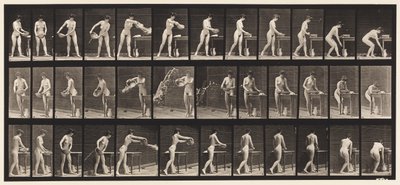 Levy 402. Veden tyhjennysallas tekijältä Eadweard Muybridge