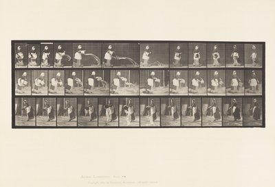 Lauta 404. Vesiämpäri, 1885 tekijältä Eadweard Muybridge