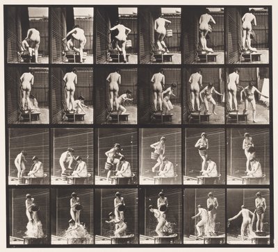 Lauta 407. Kaksi mallia, 8 kaatava vesiämpäri 1 päälle tekijältä Eadweard Muybridge