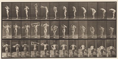 Lauta 414. Pyyhi vartalo pyyhkeellä tekijältä Eadweard Muybridge