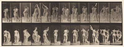 Lauta 428. WC; Kaksi mallia, 1 Disrobing 8, 1872-1885 tekijältä Eadweard Muybridge