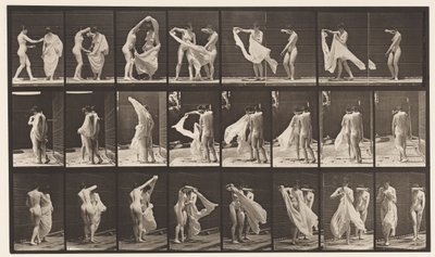 Lauta 429. WC; Kaksi mallia, 1 Disrobing 8, 1872-1885 tekijältä Eadweard Muybridge