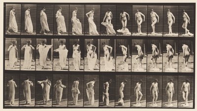 Lauta 431. WC; Vaatteiden riisuminen tekijältä Eadweard Muybridge