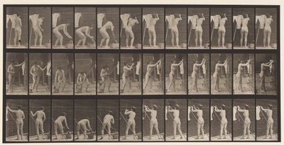 Levy 434. Riippuvat vaatteet linjalla, 1872-1885 tekijältä Eadweard Muybridge