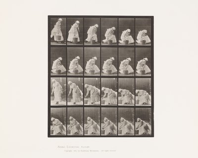 Levy 438. Kauhan laskeminen ja kuuraukseen valmistautuminen, 1885 tekijältä Eadweard Muybridge