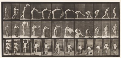 Levy 439. Maton levittäminen lattialle, 1872-1885 tekijältä Eadweard Muybridge