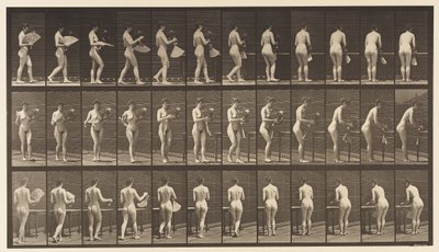 Lauta 441. Kantomaljakko ja sen asettaminen pöydälle, 1872-1885 tekijältä Eadweard Muybridge