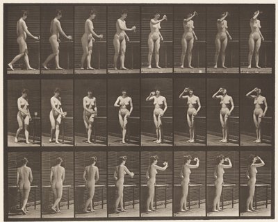 Lauta 443. Juominen pikarista seisten tekijältä Eadweard Muybridge