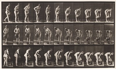 Lauta 446. Täyttökannu maassa vesipurkista tekijältä Eadweard Muybridge