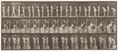 Lauta 447. Kaksi mallia, 9 Vesipurkin ottaminen olkapäältä 10 tekijältä Eadweard Muybridge