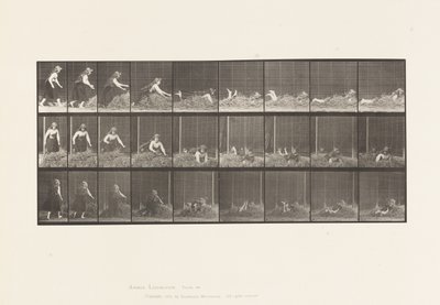 Levy 455. Heinäkasaan heittäminen tekijältä Eadweard Muybridge