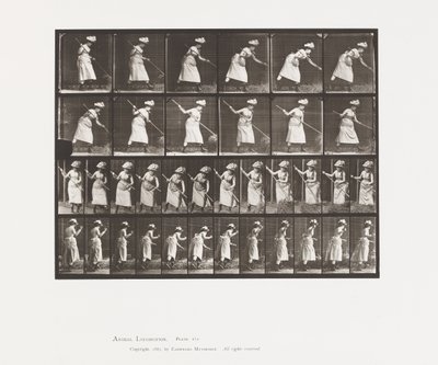 Levy 456. Sijoitus on 165 tekijältä Eadweard Muybridge
