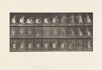 Lauta 458. Kourallisten heinän nostaminen, kääntäminen, heittäminen alas tekijältä Eadweard Muybridge