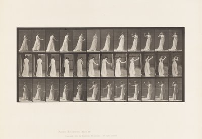 Lauta 462. Libationin kaataminen maahan, juominen pikarista, 1885 tekijältä Eadweard Muybridge