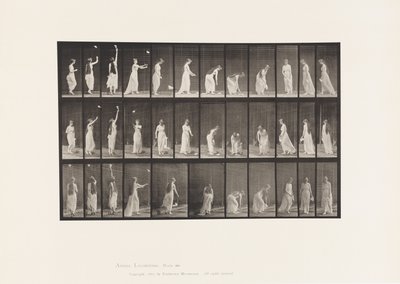 Levy 463. Kurottautuminen, kumartuminen ja kääntyminen, 1885 tekijältä Eadweard Muybridge