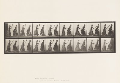 Kilpi 464. Kaksi mallia, 16 Chasing 4 luudalla, 1885 tekijältä Eadweard Muybridge