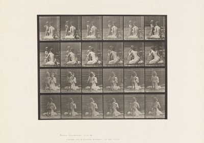 Lauta 466. Kaksi mallia, lapsi 70N, tuo kimppu 12, 1885 tekijältä Eadweard Muybridge