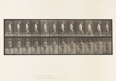 Levy 467. Lapsi, kävely, 1885 tekijältä Eadweard Muybridge
