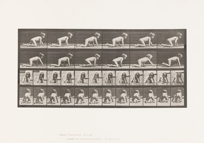Levy 471. Lapsi, ryömi käsissä ja polvissa, 1885 tekijältä Eadweard Muybridge