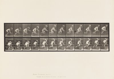 Kilpi 472. Lapsi, ryömimässä yläkerrassa, 1885 (kollotyyppi paperille) tekijältä Eadweard Muybridge