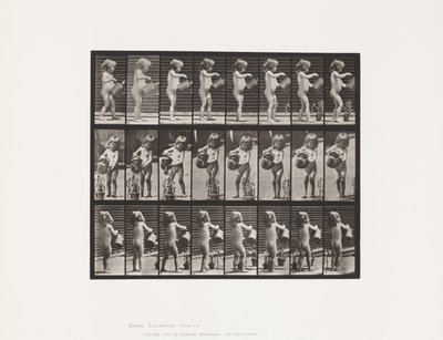 Lauta 478. Lapsi, kastelee vettä joidenkin kukkien päälle, 1885 tekijältä Eadweard Muybridge