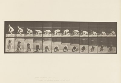 Levy 479. Lapsi, nousee maasta tekijältä Eadweard Muybridge