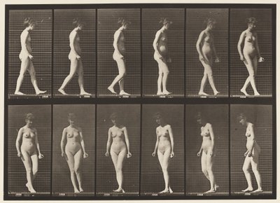 Levy 47. Kävely ja kääntyminen tekijältä Eadweard Muybridge