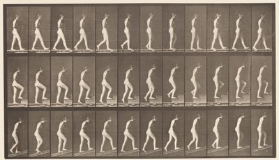 Levy 482. A, Kävely; B, Nousevat portaat; C, Ascending Incline, 1872-1885 tekijältä Eadweard Muybridge