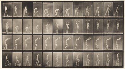 Levy 488. A, Lawn Tennis; B, Dumb Bells; C, Walking on Hands;, 1872-1885 tekijältä Eadweard Muybridge