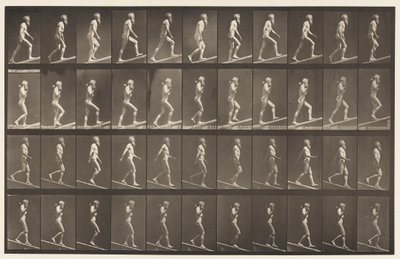 Levy 489. A, Ascending Incline;, 1872-1885 tekijältä Eadweard Muybridge