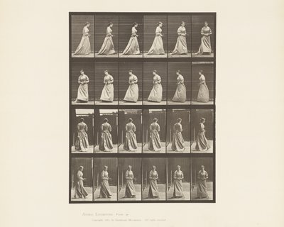 Levy 48. Kävelevä ja kääntyvä kukkakimppu molemmissa käsissä, 1885 tekijältä Eadweard Muybridge