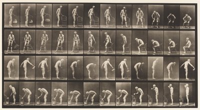 Levy 490. A, Istuminen; B, Istuminen; C, sadetusvesi tekijältä Eadweard Muybridge