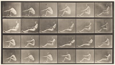 Levy 492. A tekijältä Eadweard Muybridge