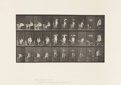 Levy 494. WC:n sekalaiset vaiheet tekijältä Eadweard Muybridge