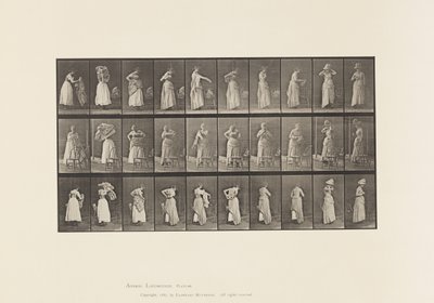 Levy 495. WC:n sekalaiset vaiheet tekijältä Eadweard Muybridge