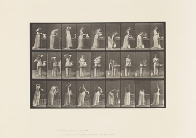 Levy 496. WC:n sekalaiset vaiheet, 1885 tekijältä Eadweard Muybridge