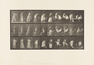 Levy 497. WC:n sekalaiset vaiheet, 1885 tekijältä Eadweard Muybridge