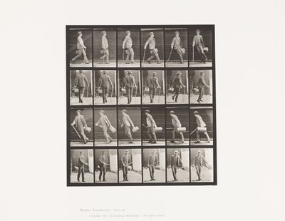 Levy 49. Kävely ja kääntyminen nopeasti tekijältä Eadweard Muybridge