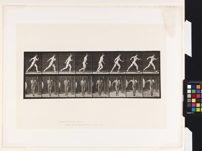 Lauta 4. Kävely tekijältä Eadweard Muybridge