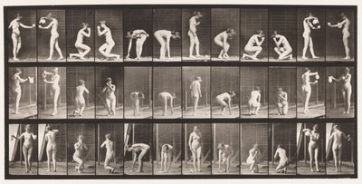 Lauta 501. Muut, kumartuvat, polvistuvat jne. tekijältä Eadweard Muybridge