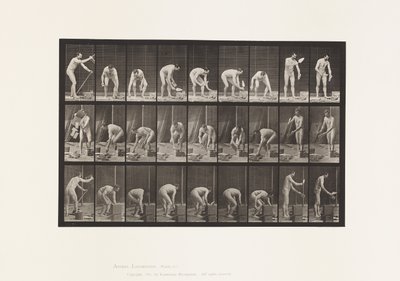 Levy 505. Muuraus tekijältä Eadweard Muybridge