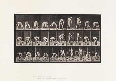 Levy 506. Muuraus tekijältä Eadweard Muybridge