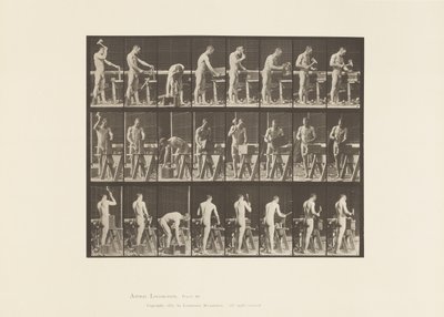 Lauta 507. Puusepäntyöt tekijältä Eadweard Muybridge